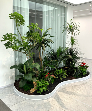 奉化绿植租赁市场-慈溪植物摆放店-慈溪绿植租摆租金-慈溪绿植租赁方案设计